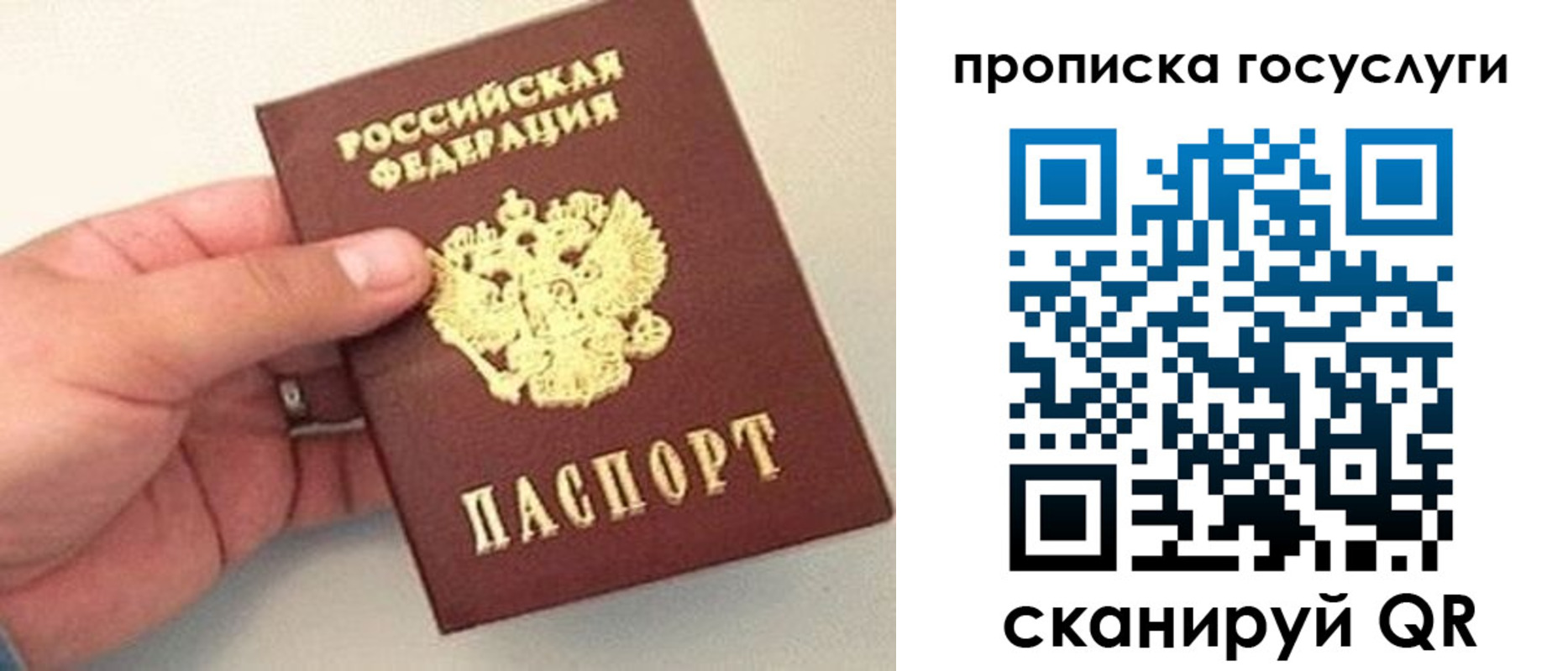 где прописаться в Благодарном